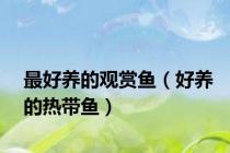 最好养的观赏鱼（好养的热带鱼）