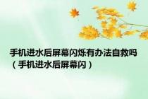 手机进水后屏幕闪烁有办法自救吗（手机进水后屏幕闪）