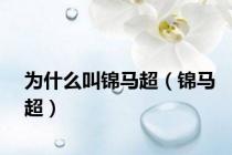 为什么叫锦马超（锦马超）