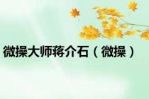 微操大师蒋介石（微操）