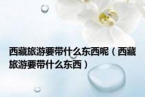 西藏旅游要带什么东西呢（西藏旅游要带什么东西）