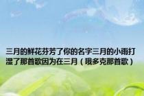 三月的鲜花芬芳了你的名字三月的小雨打湿了那首歌因为在三月（哦多克那首歌）