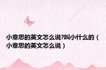 小意思的英文怎么说?叫小什么的（小意思的英文怎么说）