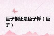 臣子恨还是臣子憾（臣子）