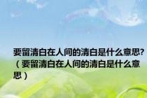要留清白在人间的清白是什么意思?（要留清白在人间的清白是什么意思）