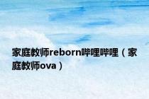 家庭教师reborn哔哩哔哩（家庭教师ova）