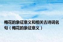 梅花的象征意义和相关古诗词名句（梅花的象征意义）