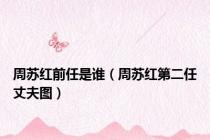 周苏红前任是谁（周苏红第二任丈夫图）