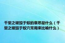 千里之堤毁于蚁的意思是什么（千里之堤毁于蚁穴常用来比喻什么）