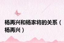 杨再兴和杨家将的关系（杨再兴）