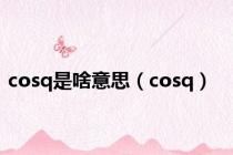 cosq是啥意思（cosq）