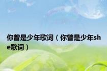 你曾是少年歌词（你曾是少年she歌词）