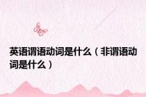 英语谓语动词是什么（非谓语动词是什么）