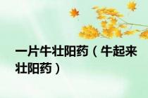 一片牛壮阳药（牛起来壮阳药）