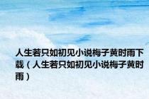 人生若只如初见小说梅子黄时雨下载（人生若只如初见小说梅子黄时雨）