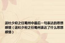 送杜少府之任蜀州中最后一句表达的思想感情（送杜少府之任蜀州表达了什么思想感情）