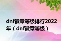 dnf徽章等级排行2022年（dnf徽章等级）