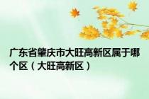 广东省肇庆市大旺高新区属于哪个区（大旺高新区）