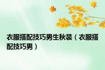 衣服搭配技巧男生秋装（衣服搭配技巧男）