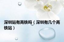 深圳站有高铁吗（深圳有几个高铁站）