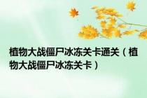 植物大战僵尸冰冻关卡通关（植物大战僵尸冰冻关卡）