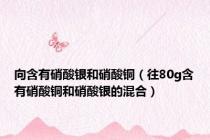 向含有硝酸银和硝酸铜（往80g含有硝酸铜和硝酸银的混合）