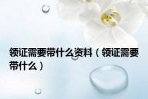 领证需要带什么资料（领证需要带什么）