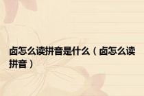 卤怎么读拼音是什么（卤怎么读拼音）