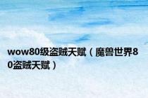 wow80级盗贼天赋（魔兽世界8 0盗贼天赋）