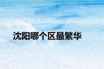 沈阳哪个区最繁华