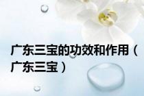 广东三宝的功效和作用（广东三宝）