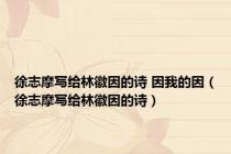 徐志摩写给林徽因的诗 因我的因（徐志摩写给林徽因的诗）