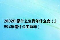 2002年是什么生肖年什么命（2002年是什么生肖年）