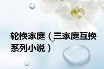 轮换家庭（三家庭互换系列小说）