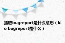 抓取bugreport是什么意思（klo bugreport是什么）