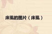 床虱的图片（床虱）