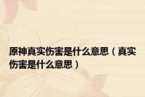 原神真实伤害是什么意思（真实伤害是什么意思）