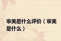 审美是什么评价（审美是什么）