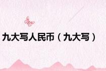 九大写人民币（九大写）