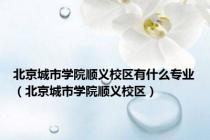 北京城市学院顺义校区有什么专业（北京城市学院顺义校区）