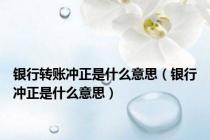 银行转账冲正是什么意思（银行冲正是什么意思）