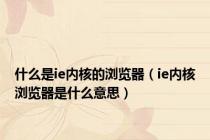 什么是ie内核的浏览器（ie内核浏览器是什么意思）