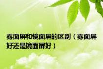 雾面屏和镜面屏的区别（雾面屏好还是镜面屏好）