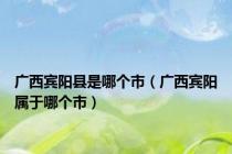 广西宾阳县是哪个市（广西宾阳属于哪个市）