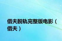 借夫脱轨完整版电影（借夫）