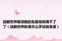 战舰世界驱逐舰的鱼雷彻底用不了了（战舰世界航母怎么手动放鱼雷）