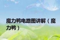 魔力鸭电路图讲解（魔力鸭）