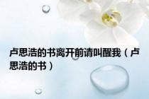 卢思浩的书离开前请叫醒我（卢思浩的书）