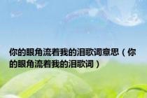 你的眼角流着我的泪歌词意思（你的眼角流着我的泪歌词）
