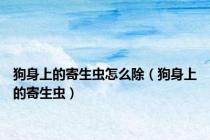 狗身上的寄生虫怎么除（狗身上的寄生虫）
